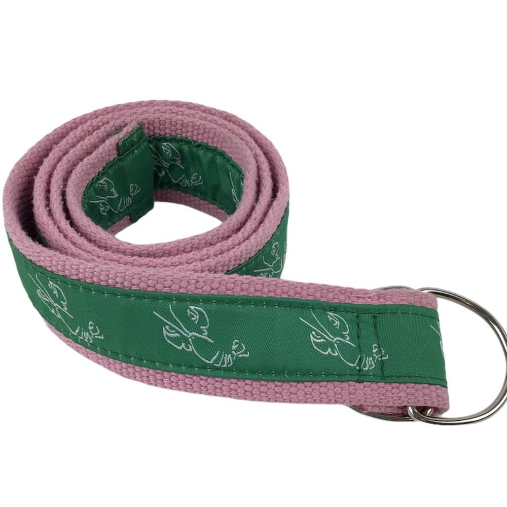 Women's Preppy 80's Woven Ribbon Belt Pink & Green